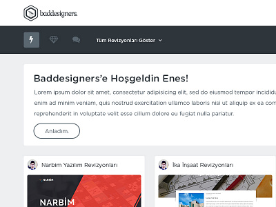 Baddesigners - Home2 concept flat design homepage web design web project