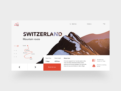 SWITZERLAND mountains travel website clean design ui ui ux design ux web webdesign white