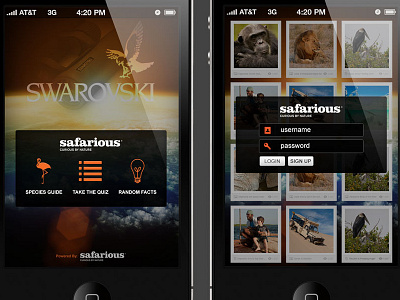 iphone app concept for Safarious iphone iphone 4 iphone app