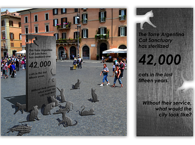 Stray Cat Awareness Campaign awareness campaign cats custom mock up mockup photo manipulation social stray volunteer