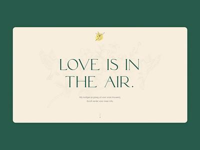 Wedding website 🕊️ design illustration logo typography ui ux vector website