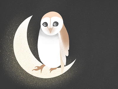 Night Owl design illustration owl