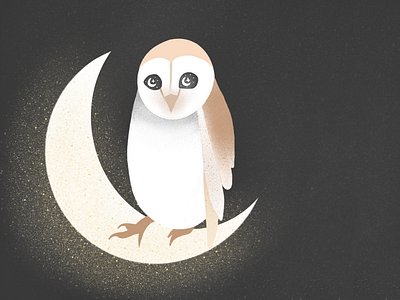 Night Owl