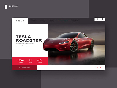 Web design TESLA concept