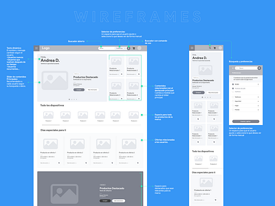 Google Store Homepage Wireframes