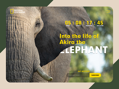 Daily UI 014 - Countdown countdown countdown timer daily 100 challenge daily ui dailyui elephant national geographic ui uiux ux web