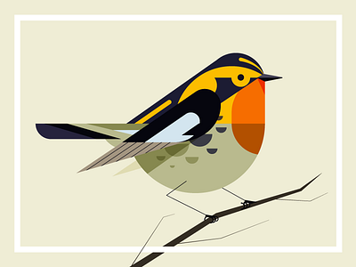 Blackburnian Warbler bird black blue flat frame google orange tweet yellow