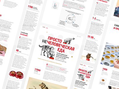 Royal Canin: Landing page animals article cats dogs feed illustration landing page longread pet lovers pets read red royal canin science