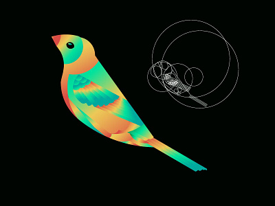 Bird Logo using golden ratio