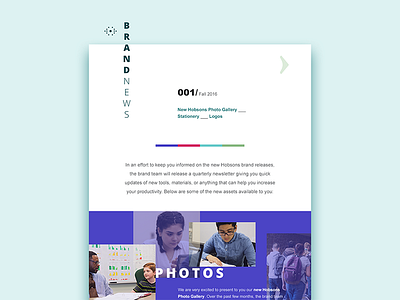 Newsletter brand education email layout news newsletter