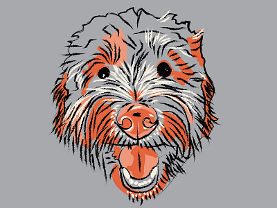 Opie the Dood drawing goldendoodle graphic design illustration illustrator logo puppy quick sketch