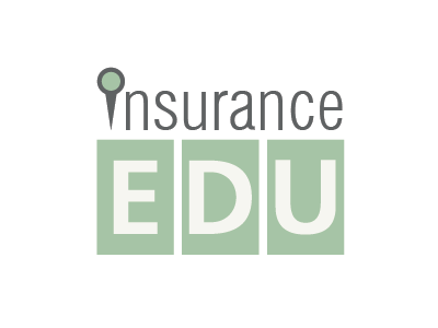 Insurance EDU logo branding logo type typography