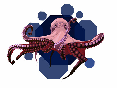 Octopus illustration ocean octopus vector