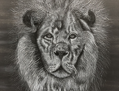 Lion Painting canvas lion paint painting
