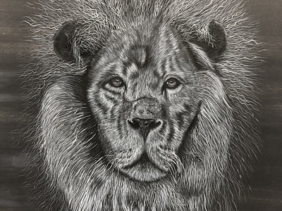 Lion Painting