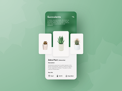 Succulents app bright card cards carousel clean colorful design green minimal plants shadow simple ui