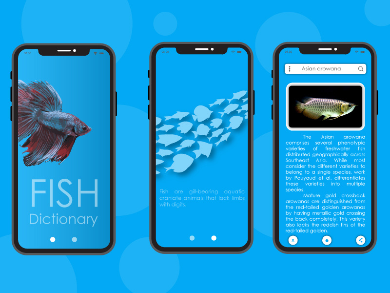 Fish Dictionary ui design app illustration
