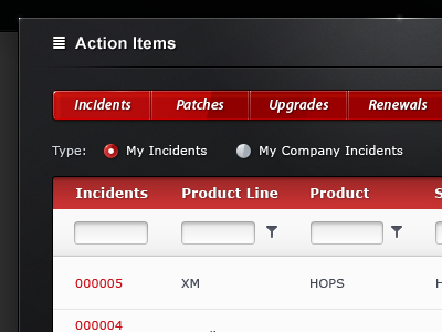 Infor Support - Action Items