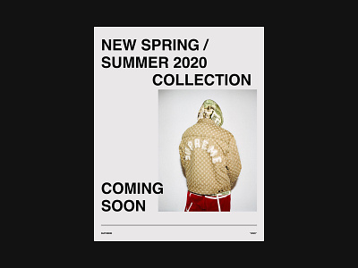 Poster Supreme of the new spring / summer 20 collection ✖️