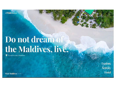 Travel to the Maldives!!! branding design graphic design icon minimal travel typography ui ui ux design uidesign ux ux ui ux design vector web webdesign website