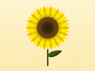 solsikke illustration sunflower yellow