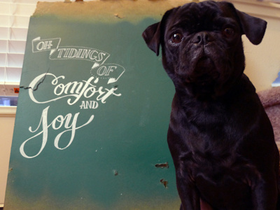 Tidings of stuff and things pug
