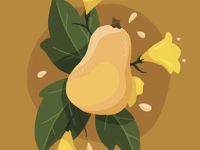 Butternut squash cute digital illustration food food illustration illustration organic squash vegetable vegetable illustration