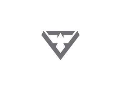 Brandvue logo branding cool grey eagle identity logo negative space personal vue
