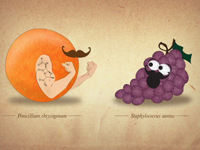 Fruit Fisticuffs illustration