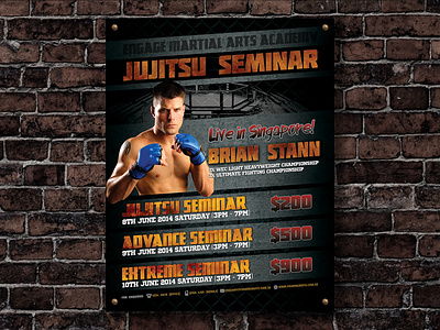 Flyer Design - MMA Seminar