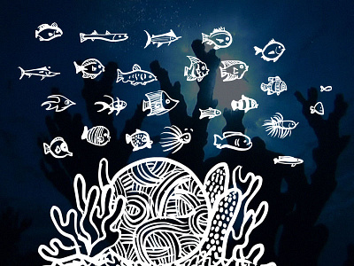 Fish / Coral Illustrations coral fish wild kingdom wildguide