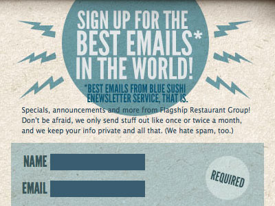 Email Sign-Up copy disclaimer email enewsletter form sign up