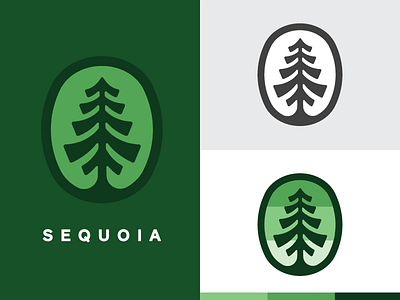 Sequoia branding logo mark tree