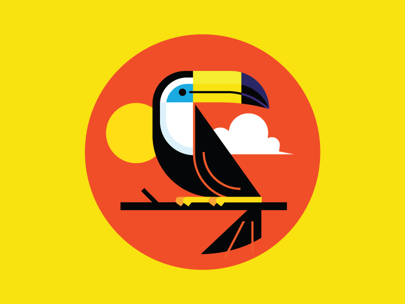 Toucan by Nick Slater on Dribbble