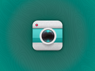 Wood camera icon