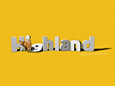 Highland Cows 3d animal cows creativity design highland illustration nature rendering typography