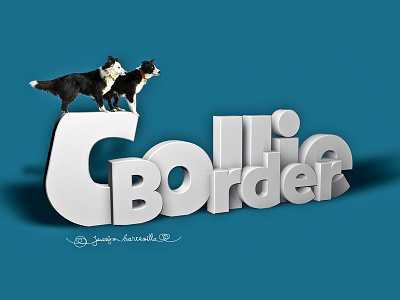 Modeling dogs 3d blue border collie creativity design dogs modeling reflection rendering typography