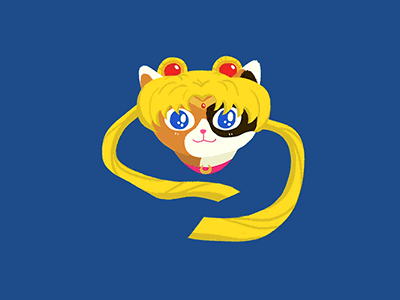 Sailor Moon Cat aftereffects cat design illustration photoshop sailormoon