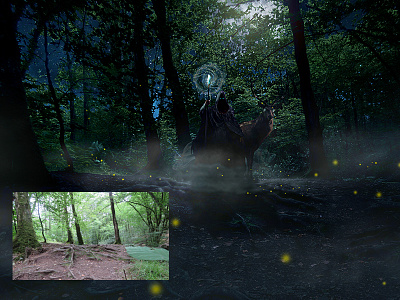 Merlin Photoshop Before & After fantasy merlin photshop woods
