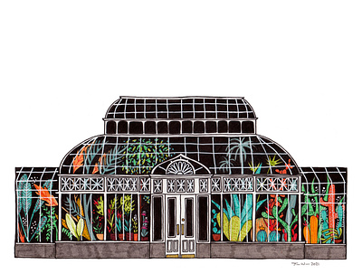 Volunteer Park Conservatory square architecture art nouveau conservatory design faber castell greenhouse illustration india ink micron pen seattle