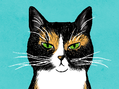 kitty portrait for a client