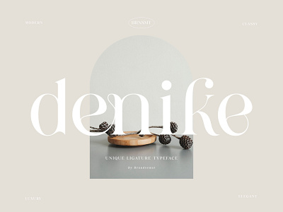 Denike || Stylish Modern Serif
