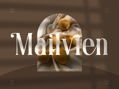 Mailvien - Modern Ligature Typeface