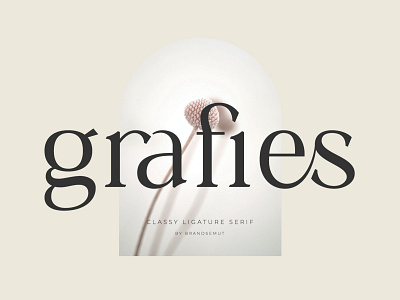 Grafies | Classy Ligature Serif