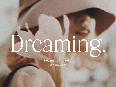 Dreaming – Elegant Chic Serif display font logo quotes quotes font retro vintage