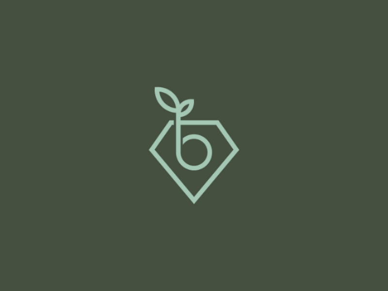 Leaf and Diamond Logo by Brand Semut on Dribbble