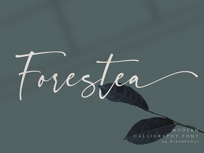 Forestea - Classy Script Font beauty calligraphy chic classy elegant fashion feminine font handlettering handwritting logo luxury magazine modern script signature social media sophisticated stylish wedding