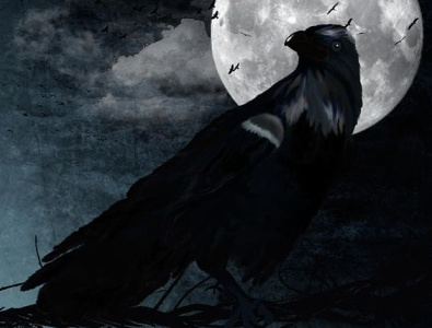 raven digital drawing moon night raven