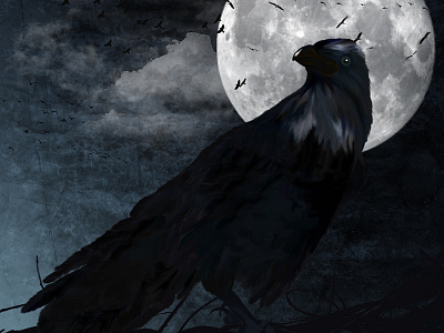 Raven animal illustration raster typography