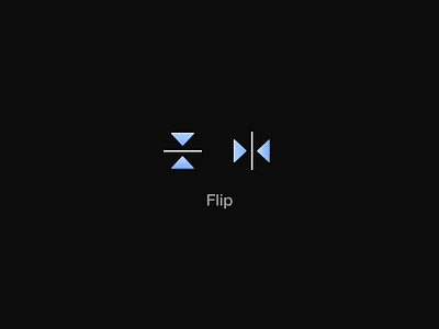 Flip / Motion icon motion